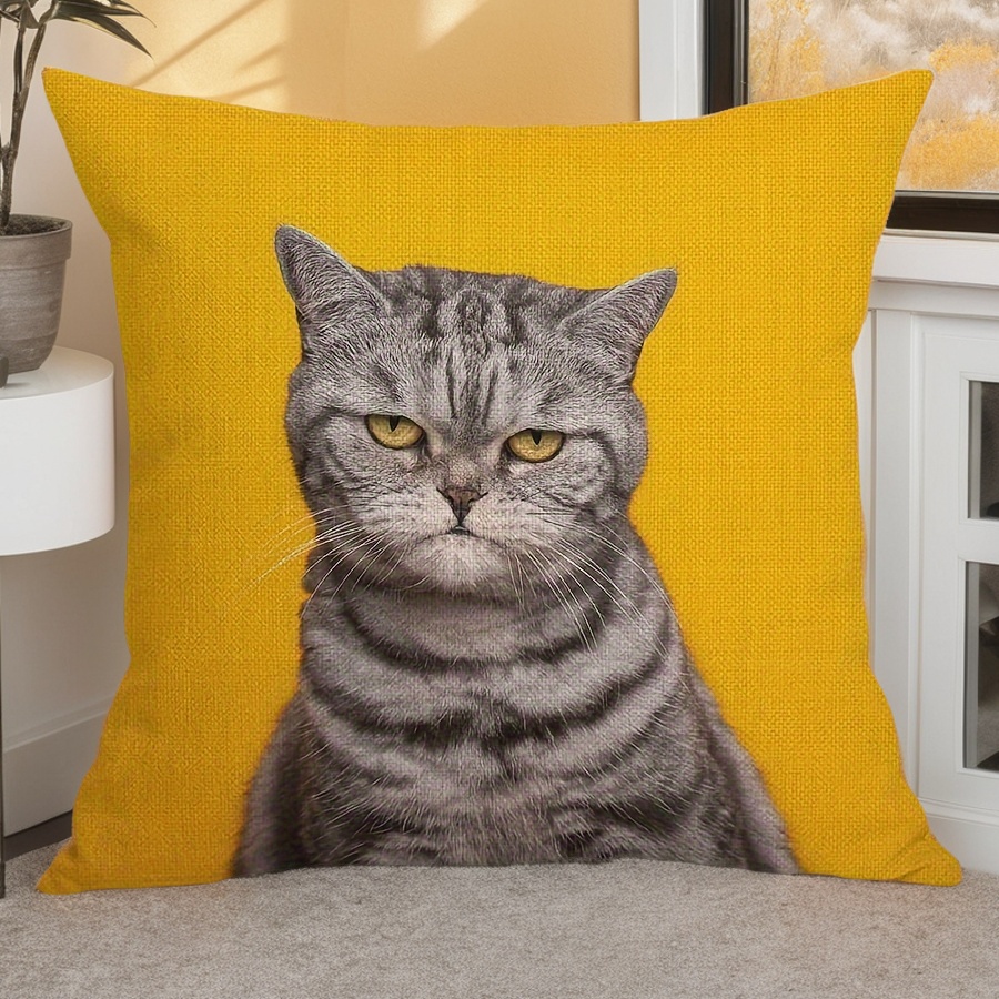 Pillow Insert 18X18 - Housse de coussin décorative en lin
