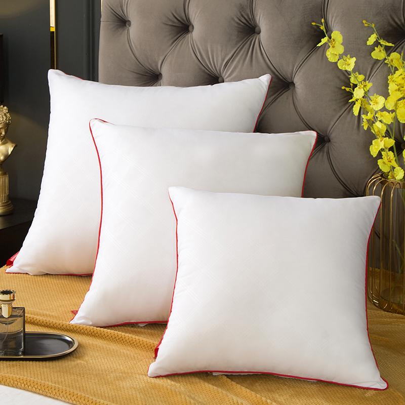 40*40/45*45/50*50/55*55/60*60/ - Pillow Insert 18X18 avis et prix