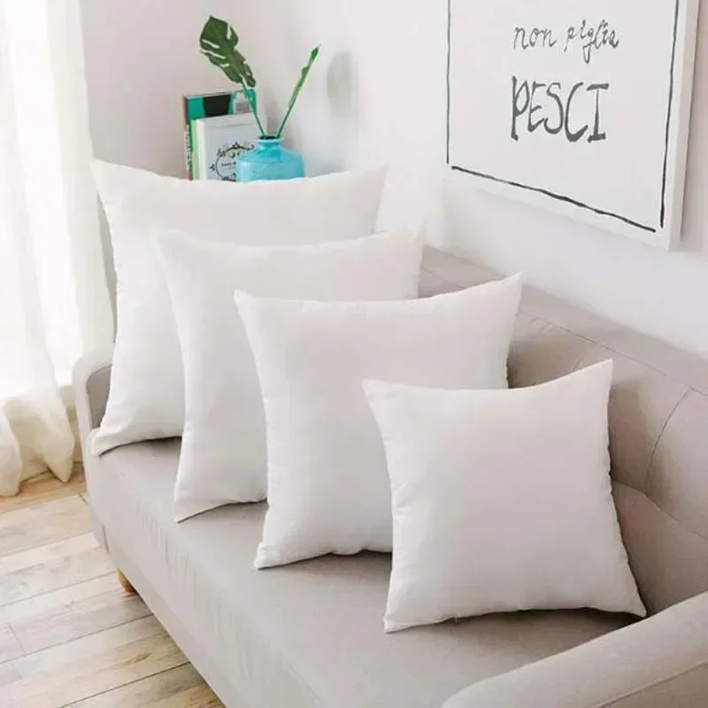 Coussin de remplissage pour ca - Pillow Insert 18X18 avis et prix