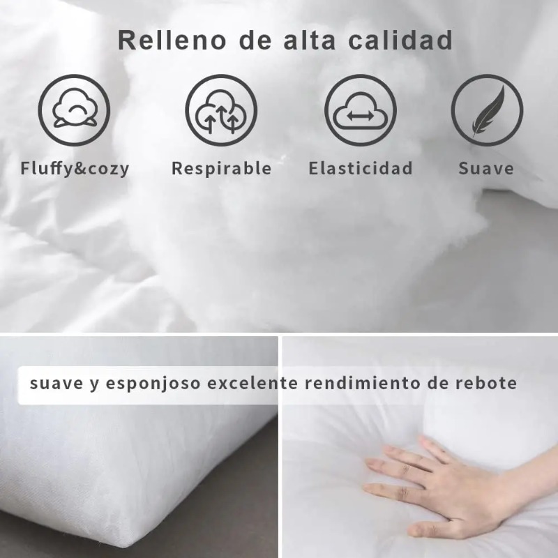 Coussin de remplissage pour ca - Pillow Insert 18X18 avis et prix