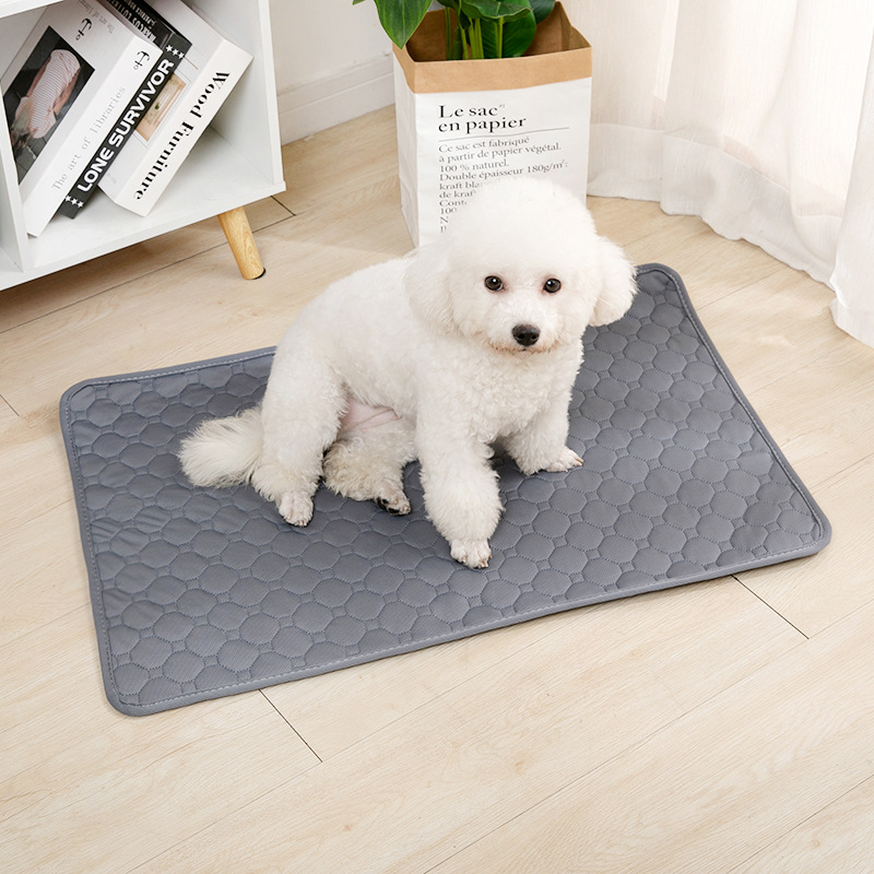 Couverture réutilisable pour c - Mattress Protector Waterproof avis et prix
