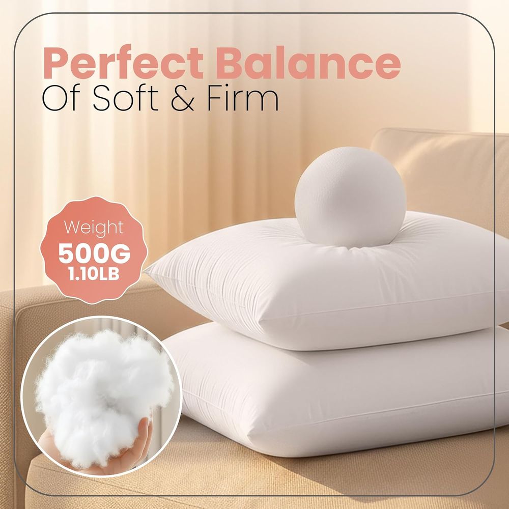 Paire d'inserts de coussin bla - Pillow Insert 18X18 avis et prix